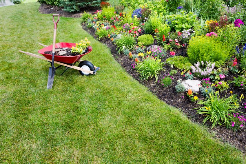 5 Ways to Whip Your Lawn and Garden Space into Shape — Fast